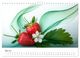 Thumbnail-10