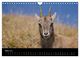 Thumbnail-8