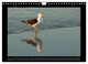 Thumbnail-13