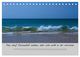 Thumbnail-13
