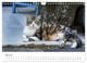 Thumbnail-10