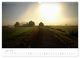 Thumbnail-12