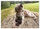 Thumbnail-9