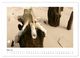 Thumbnail-10