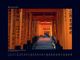 Thumbnail-11
