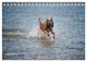 Thumbnail-14