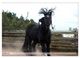 Thumbnail-8