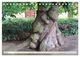 Thumbnail-12