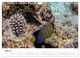 Thumbnail-10