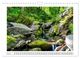 Thumbnail-9