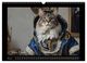 Thumbnail-11