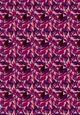 Thumbnail-14