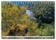 Thumbnail-8