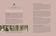 Thumbnail-10