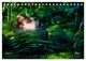 Thumbnail-10