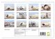 Thumbnail-11