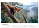 Thumbnail-10