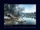 Thumbnail-12