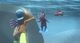 Thumbnail-11