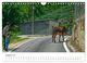 Thumbnail-10