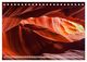 Thumbnail-14