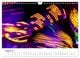 Thumbnail-10