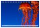 Thumbnail-13