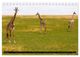 Thumbnail-8