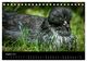 Thumbnail-13