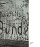 Thumbnail-11
