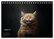 Thumbnail-10