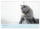 Thumbnail-11