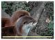 Thumbnail-14