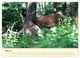Thumbnail-10