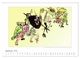 Thumbnail-14