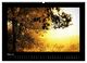 Thumbnail-10
