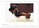 Thumbnail-14