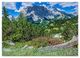 Thumbnail-11