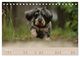Thumbnail-10