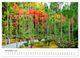 Thumbnail-13
