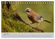 Thumbnail-12