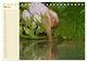 Thumbnail-10