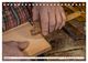 Thumbnail-10