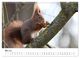 Thumbnail-10