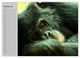 Thumbnail-11