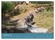 Thumbnail-11