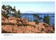 Thumbnail-11