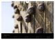 Thumbnail-10