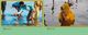 Thumbnail-2