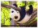 Thumbnail-8